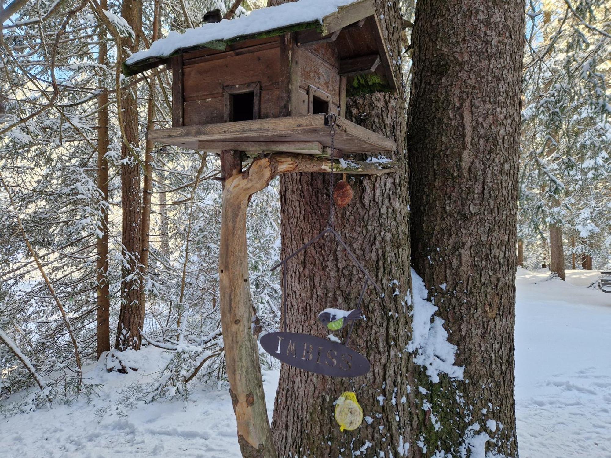 זיפלד אין טירול Wohlfuehl-Appartement Bergsee Family - Am Wildsee - Sup Und Schlitten For Free מראה חיצוני תמונה